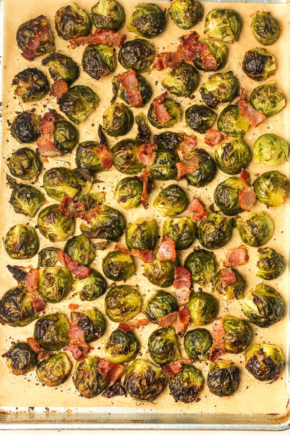 A sheet pan of roasted brussels sprouts with bacon pieces on top.