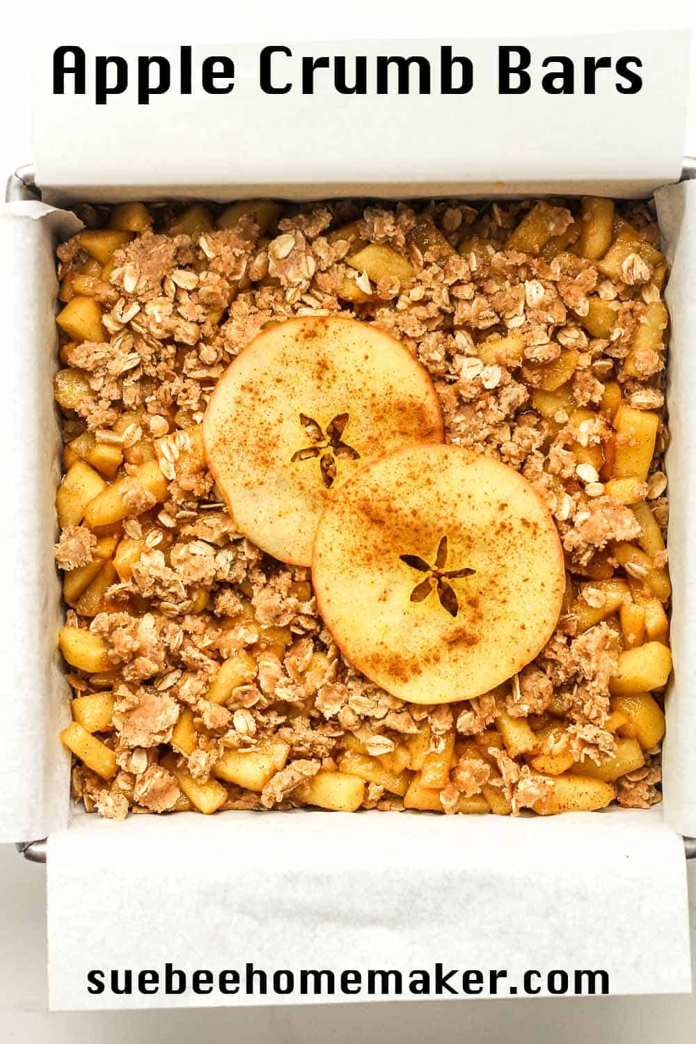 The prepped apple crumb bars in a square pan with apple slices on top.