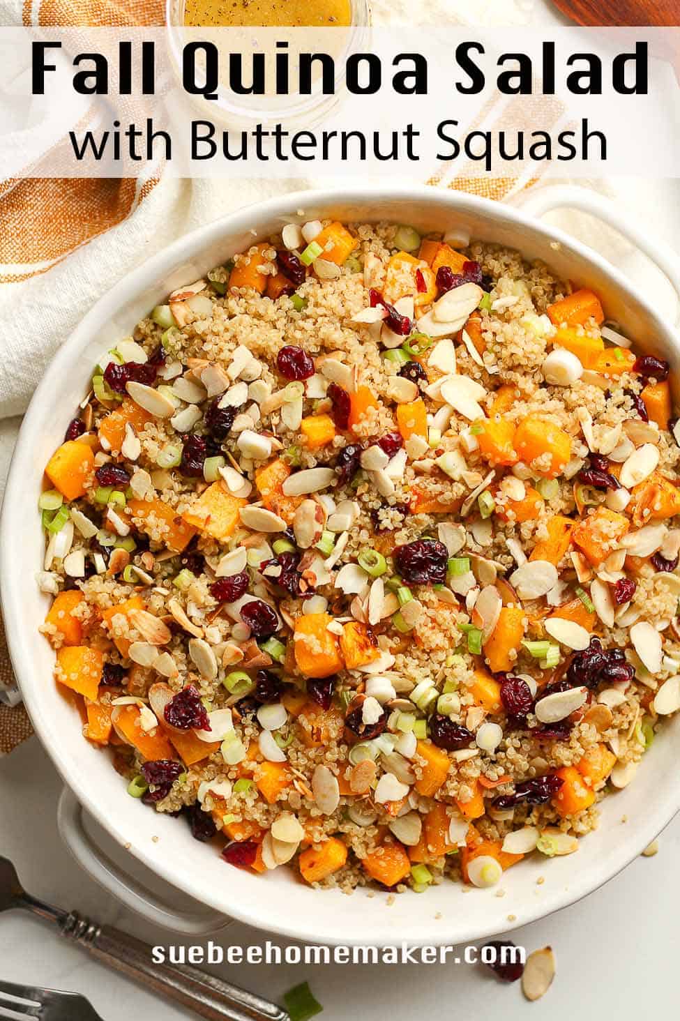 A round serving bowl of fall quinoa salad with butternut squash.