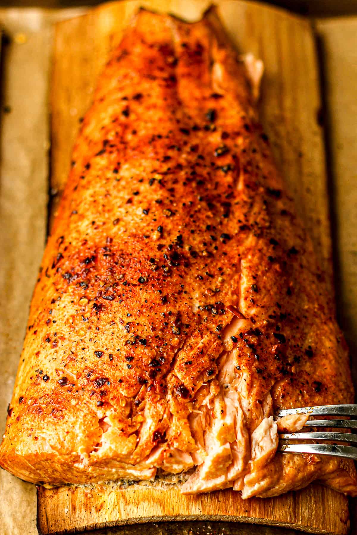 Side view of a large piece of grilled cedar plank salmon.