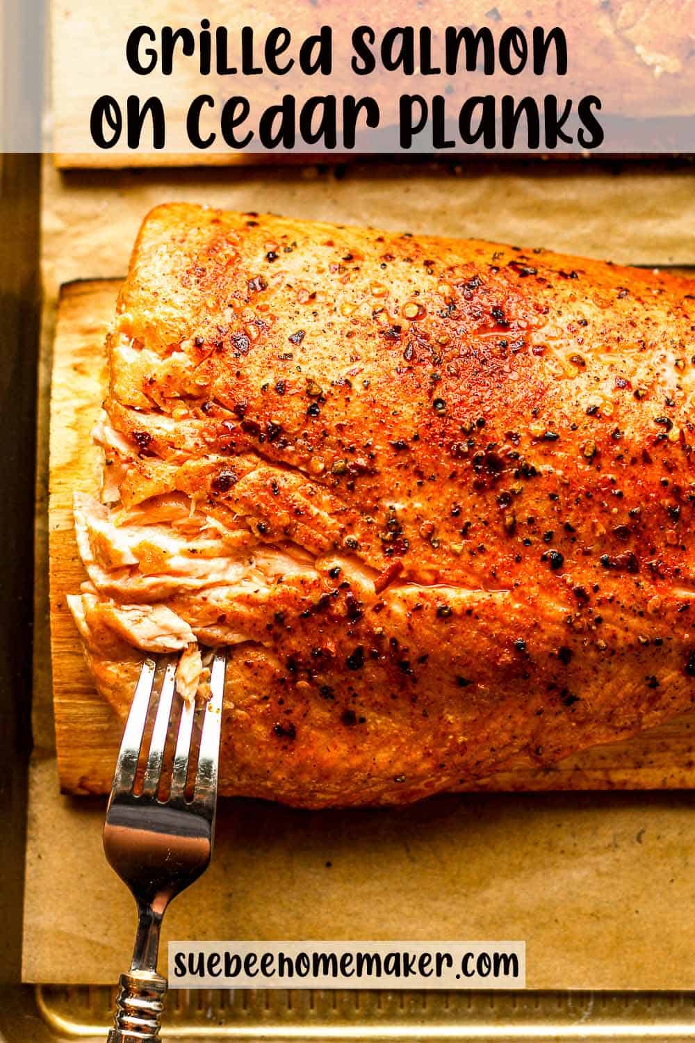 Closeup on a piece of grilled salmon on cedar planks with a fork.