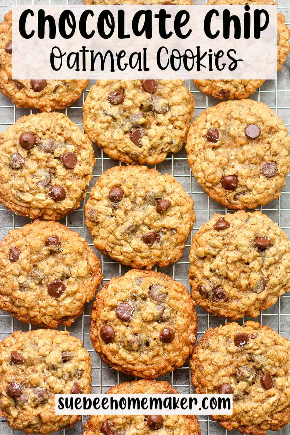Oats and Dark Chocolate Chip Cookie Mix