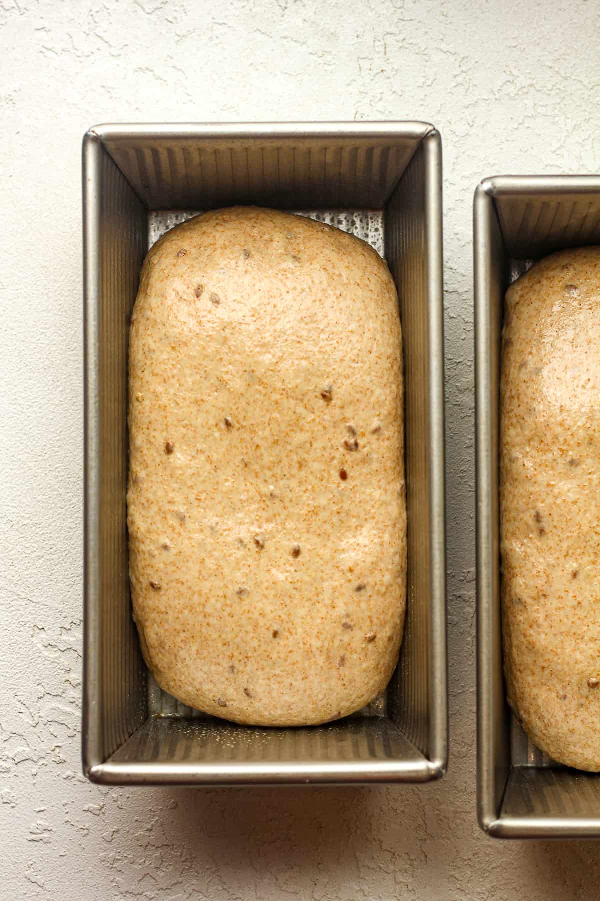 Two loaf pans of the dough before rising.