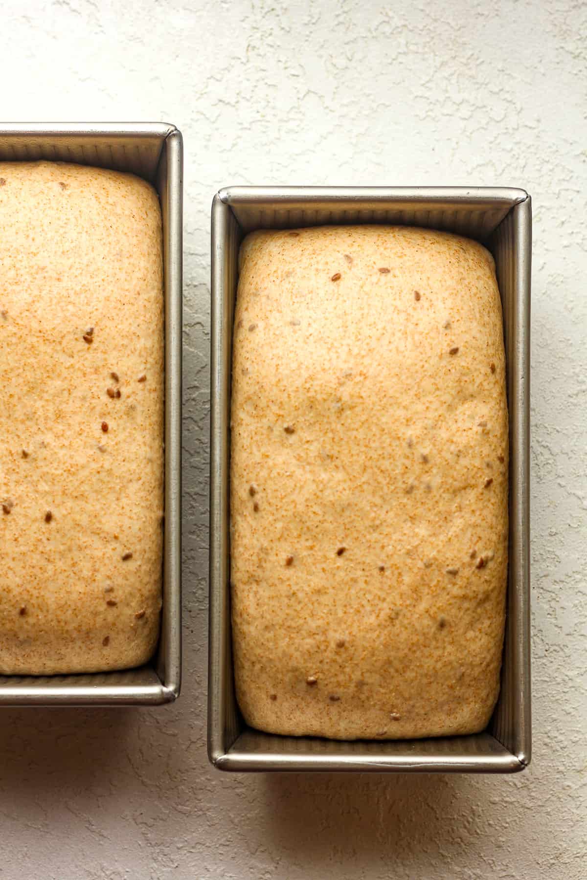 Two loaf pans of raised bread.