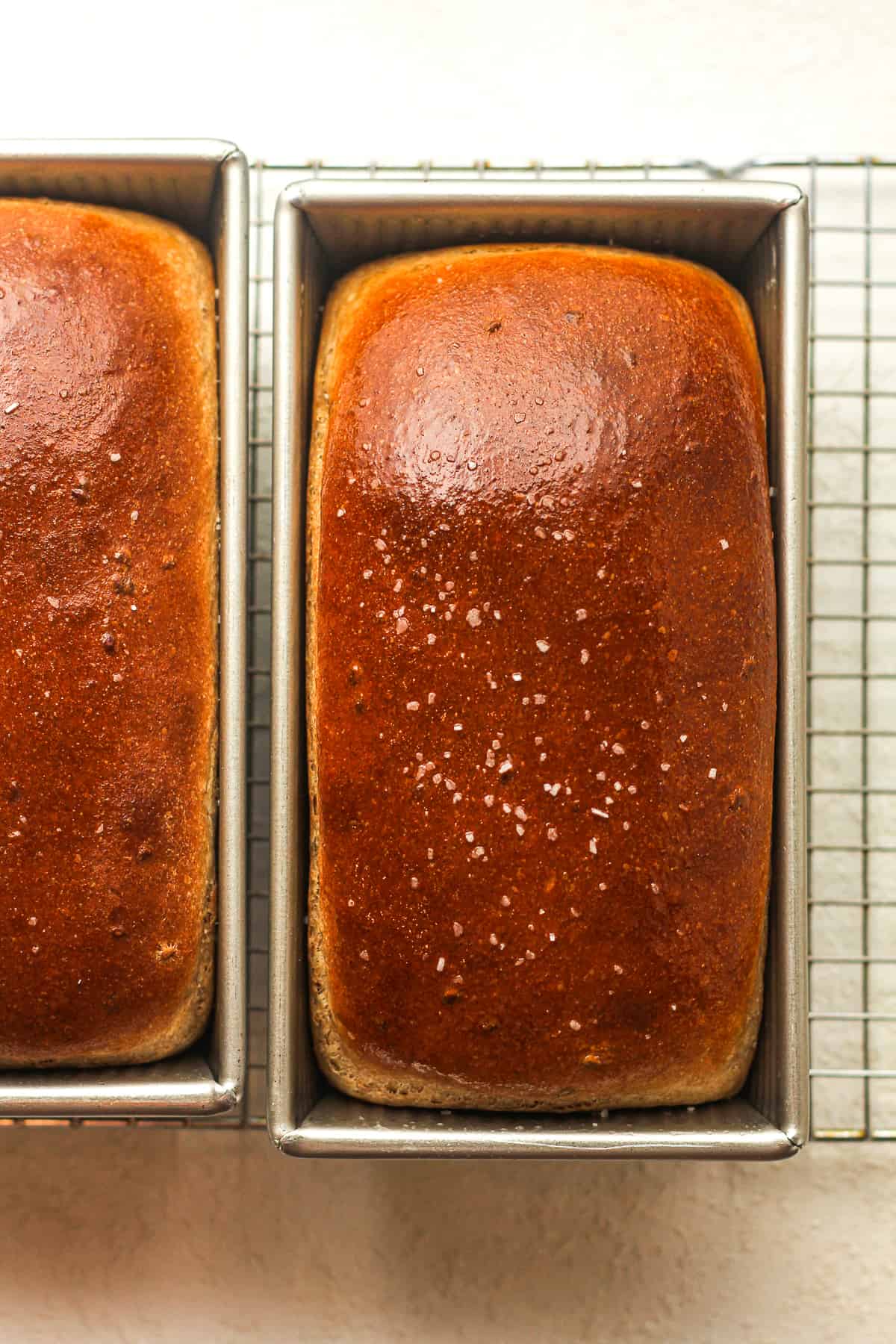 Two bread pans of baked honey wheat bread.