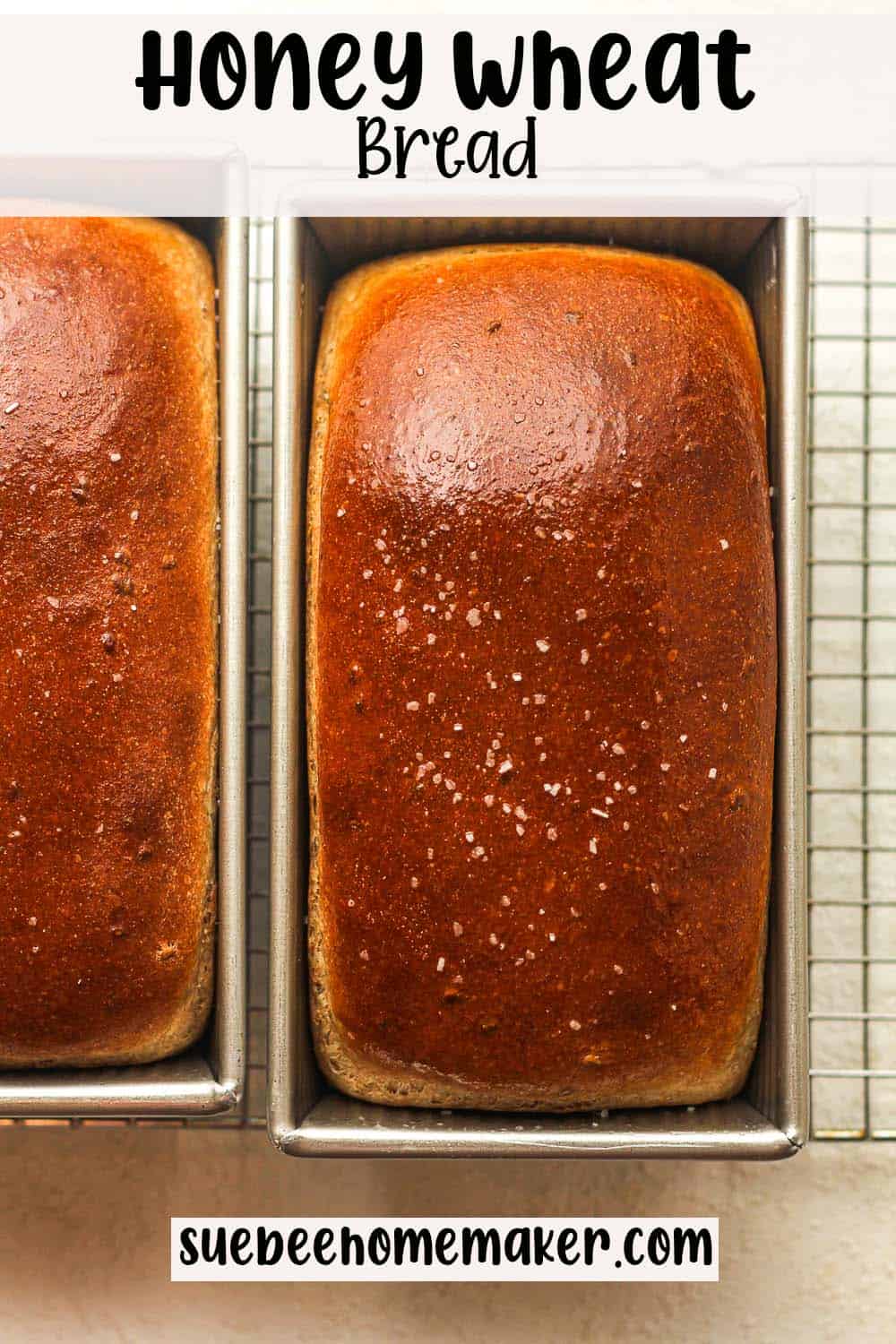 Two loaves of honey wheat bread in pans.