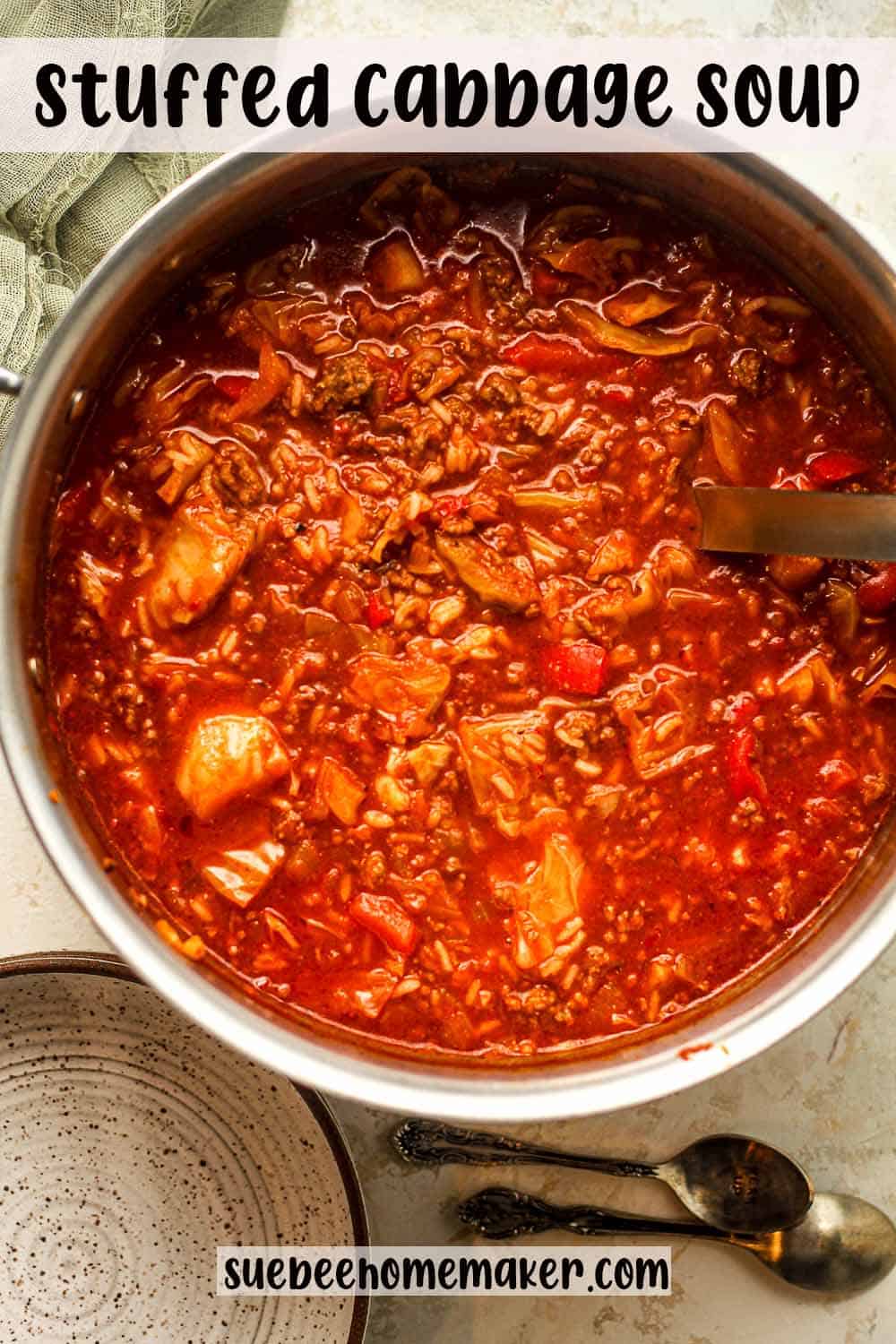 A large pot of stuffed cabbage soup with a soup ladle.