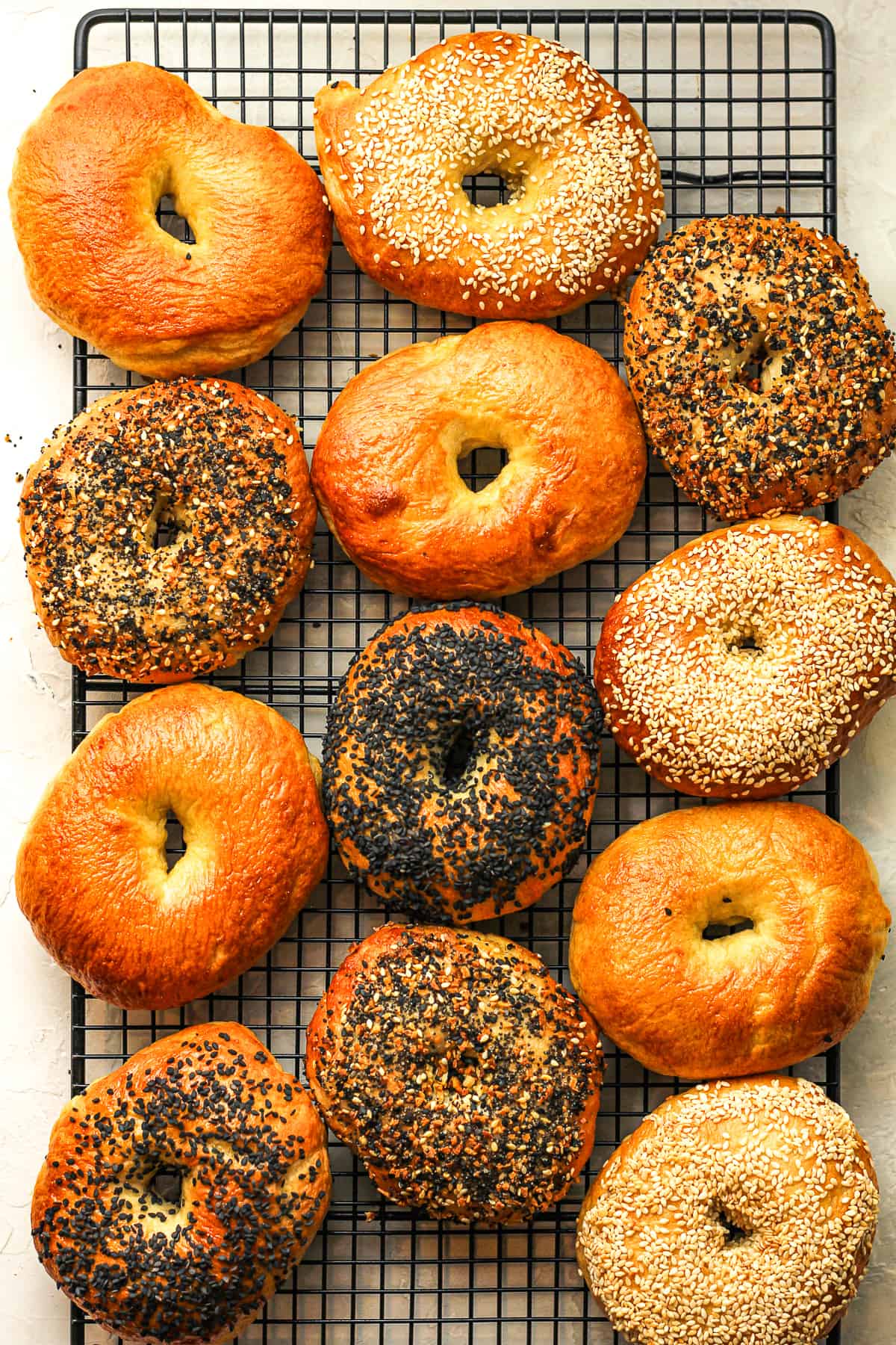 A black cooling rack with 12 New York Style bagels.