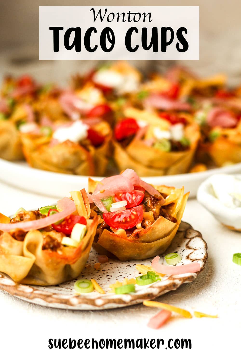 A small plate of wonton taco cups in front of another plate.
