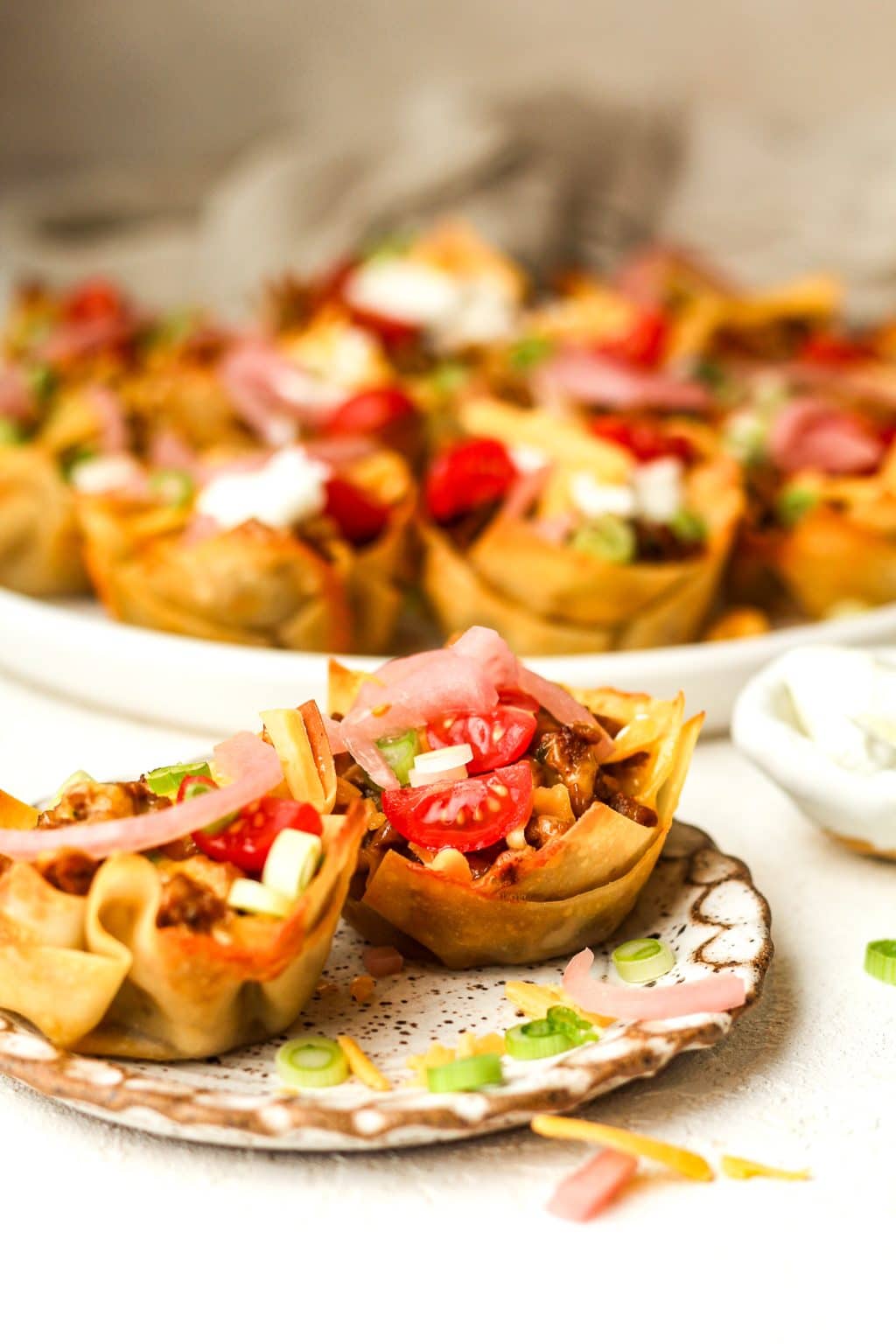 Simple Wonton Taco Cups - Suebee Homemaker