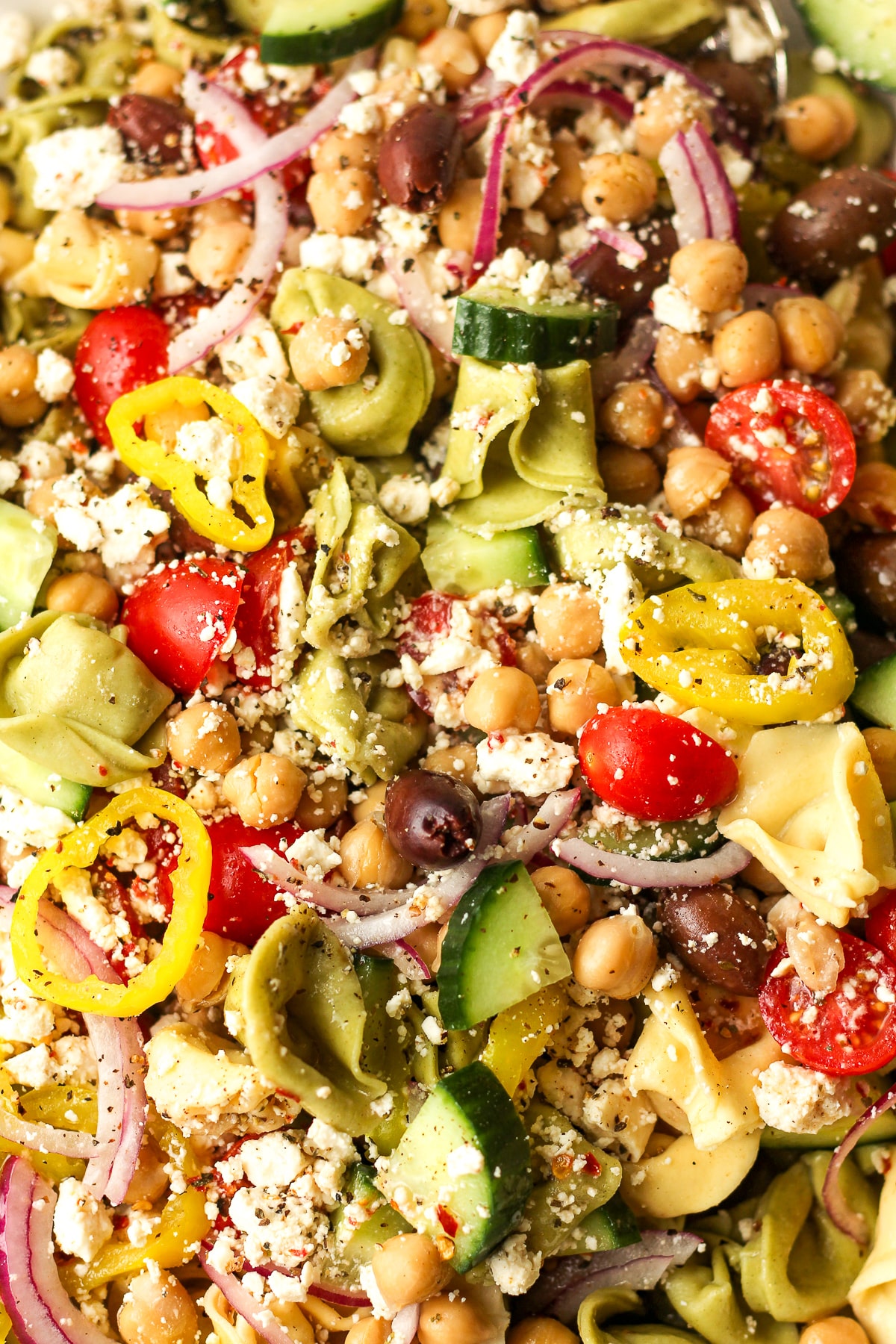 Closeup on some Greek tortellini pasta salad.