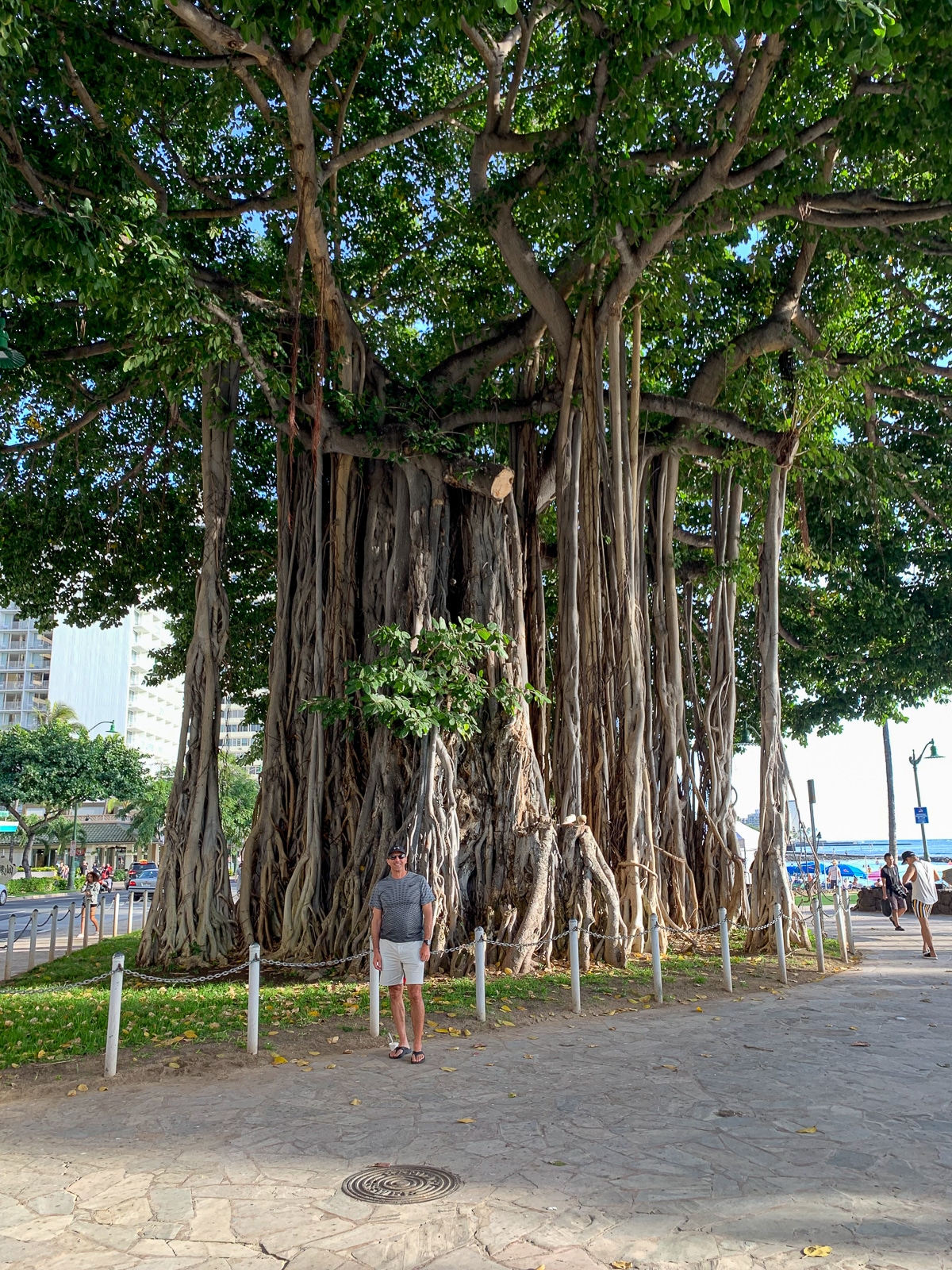Mike standing by a large banyan tree.