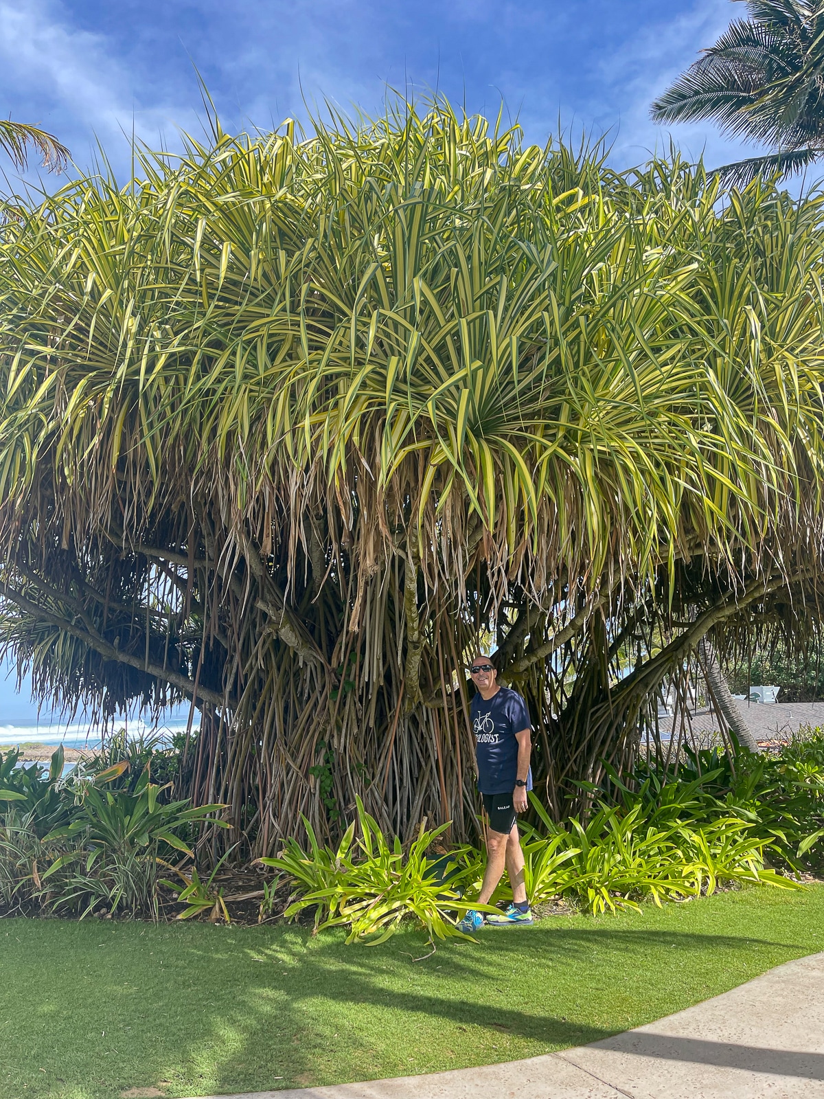 Mike standing by a banyan tree.