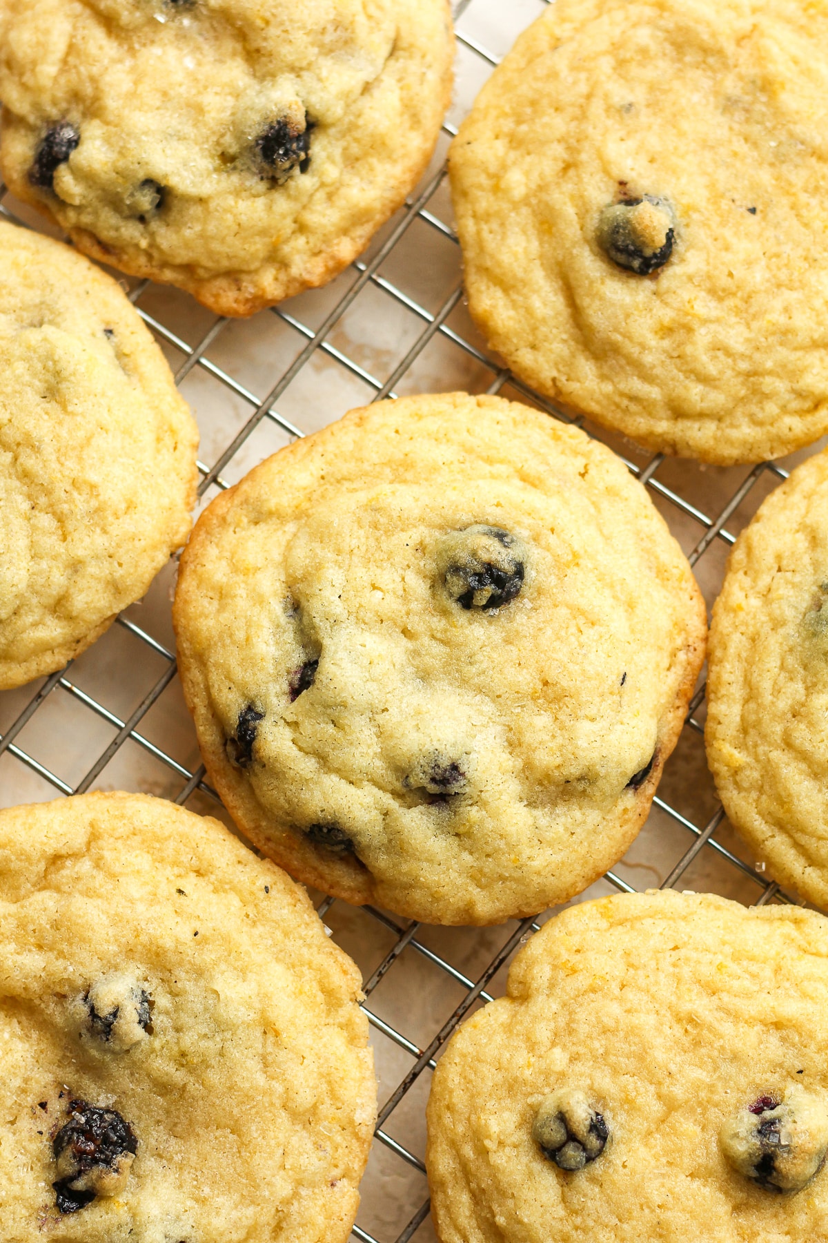 Closeup on some blueberry lemon cookies.