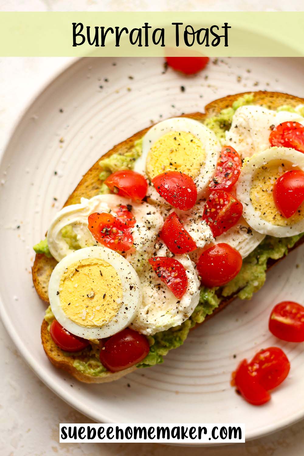 A plate with burrata toast and avocado and egg.