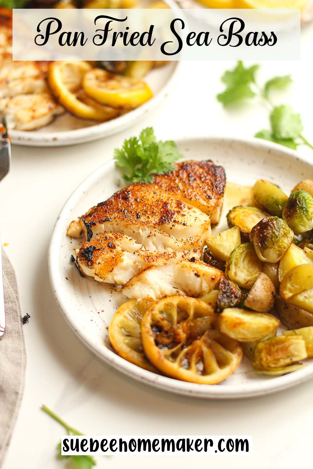 A plate of pan fried sea bass with veggies.