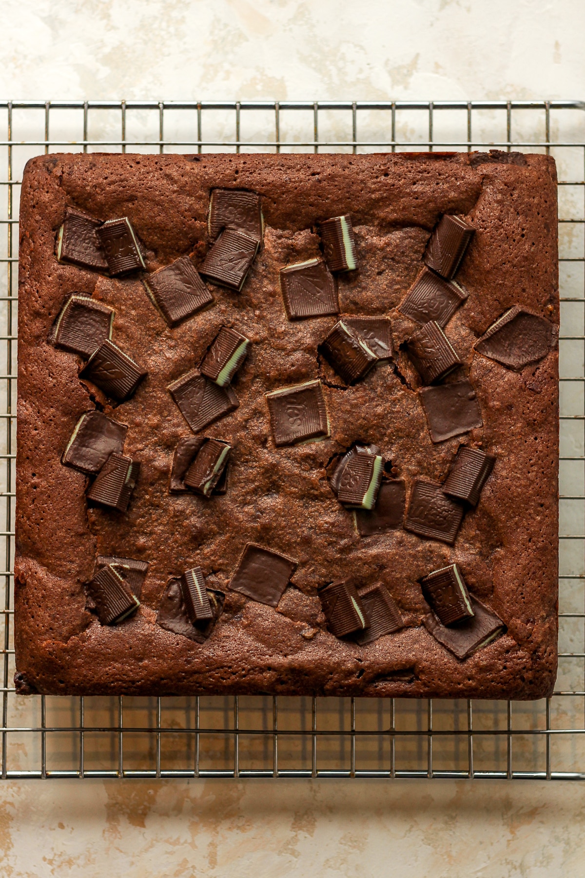 A large square of chocolate brownies with Andes mints.