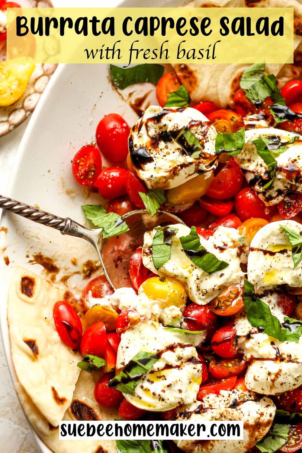 A closeup on burrata caprese salad with fresh basil.