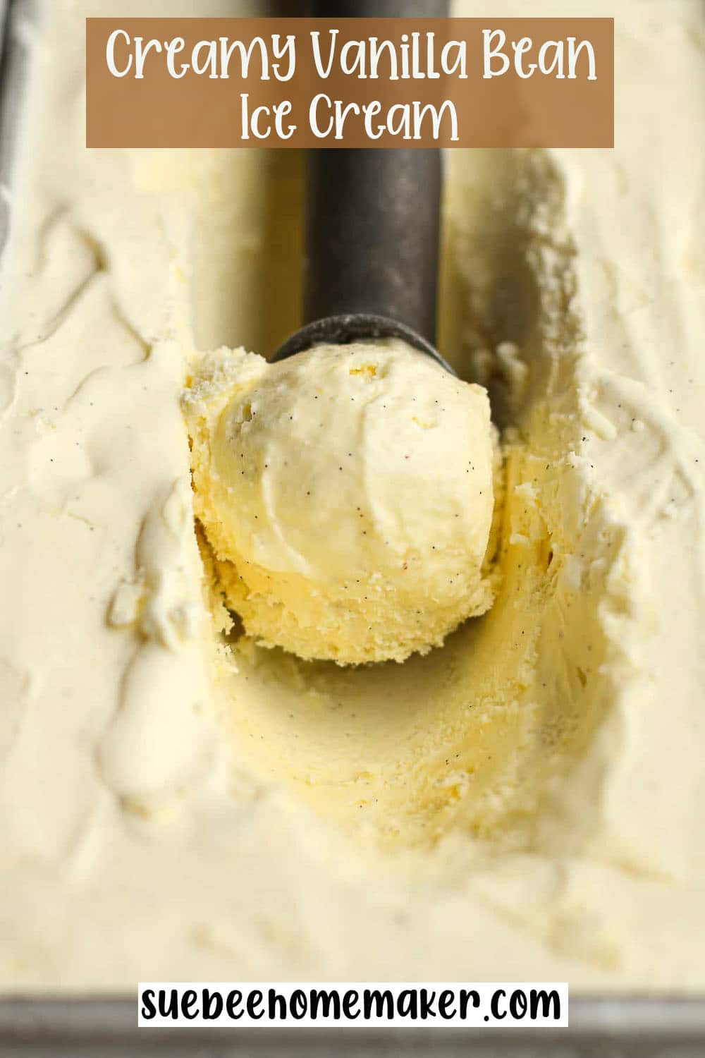 Closeup on a scoop of creamy vanilla bean ice cream.