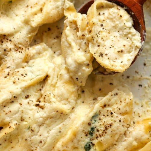 Closeup on some baked shells with Alfredo.