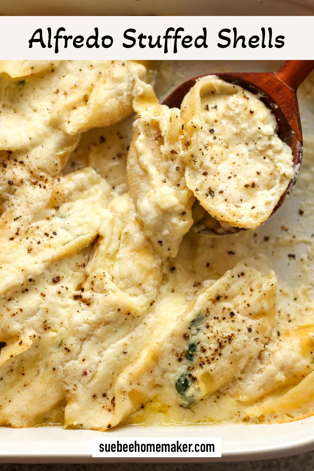 Closeup shot of Alfredo stuffed shells.