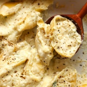 Closeup on some Alfredo stuffed shells with spinach.