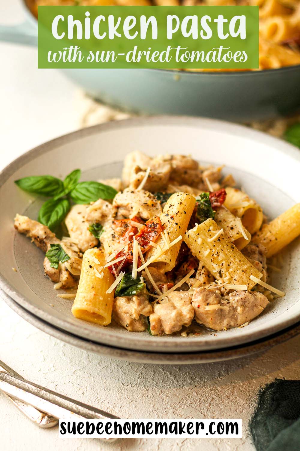 Side view of a bowl of chicken pasta with sun-dried tomatoes.