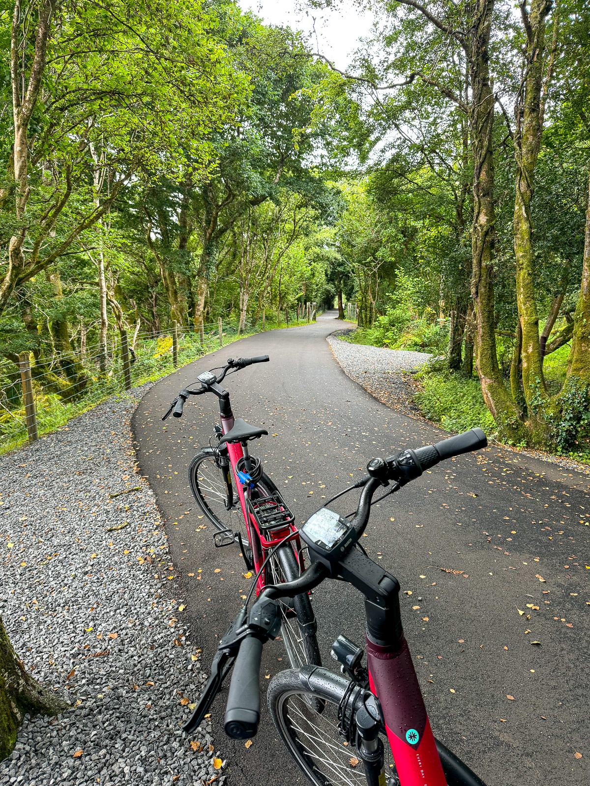 View of our beautiful bike path with e-bikes.