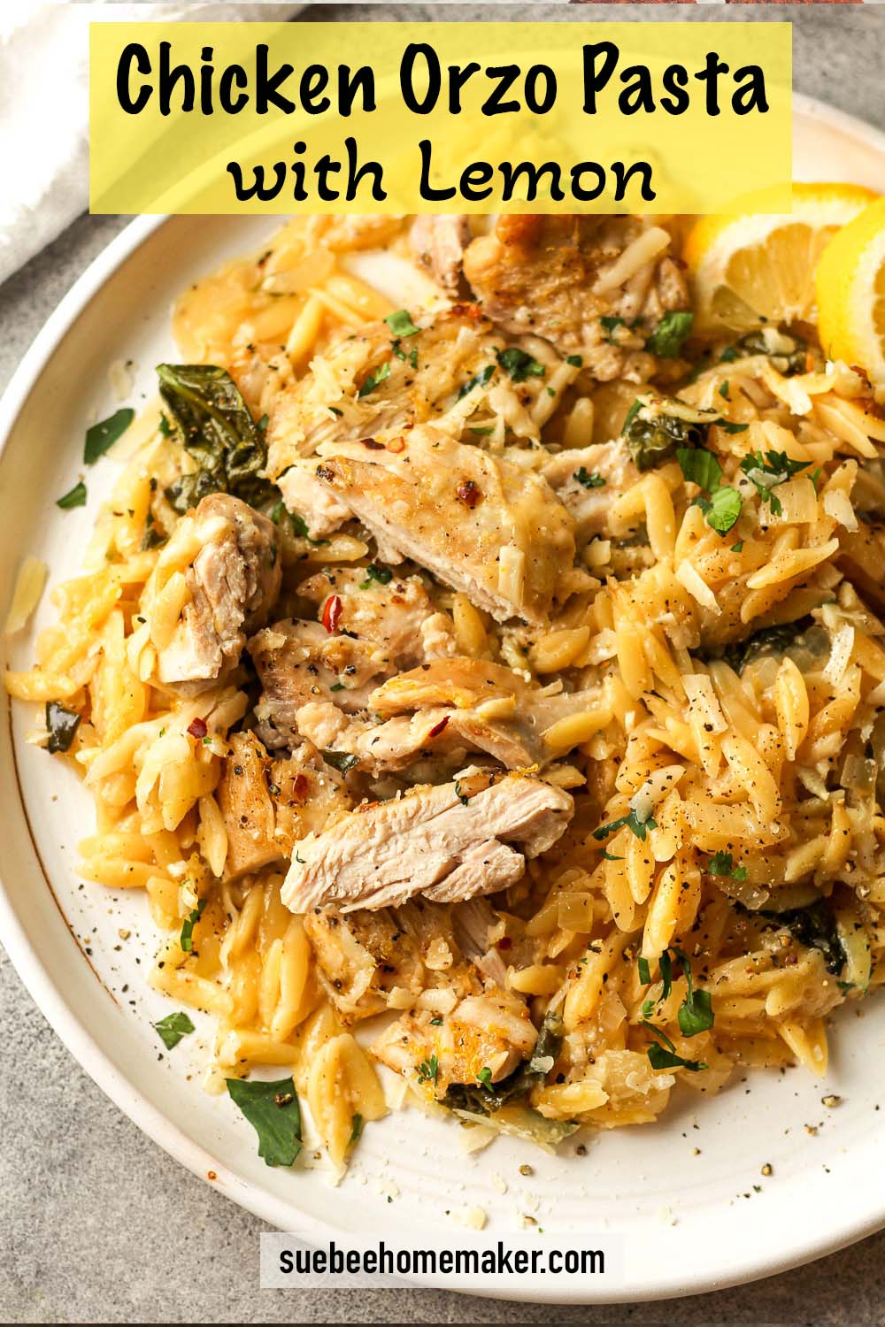 A white plate with Chicken Orzo Pasta with Lemon