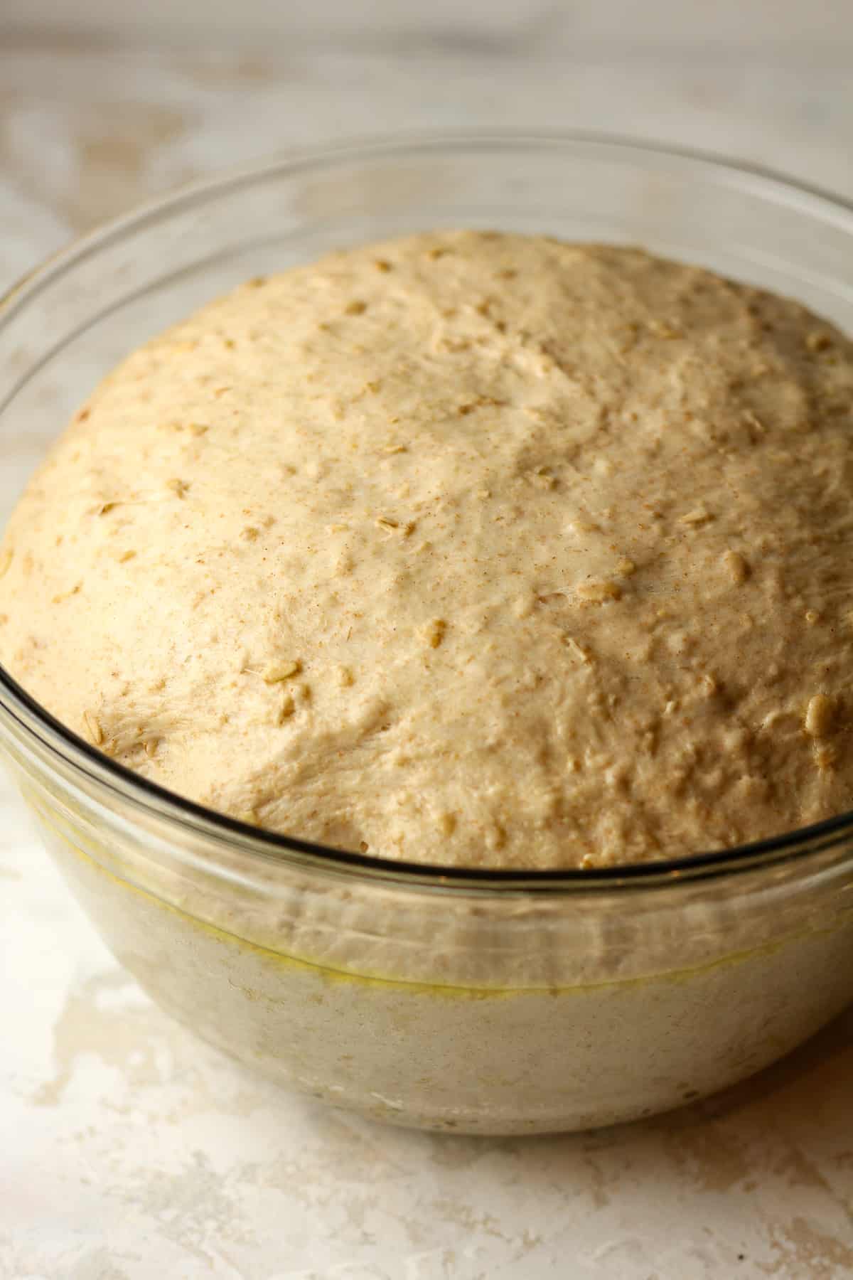 Side view of a large bowl of oatmeal bread dough.