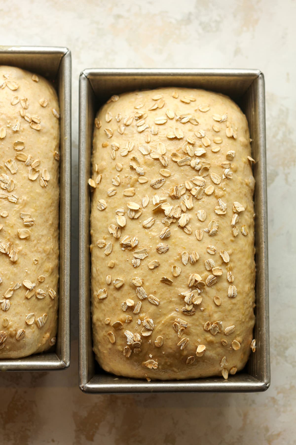 Two loaf pans of the bread dough with oatmeal on top.