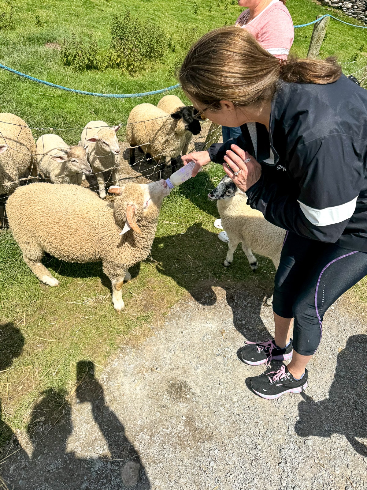 Me feeding a baby lamb in Ireland.