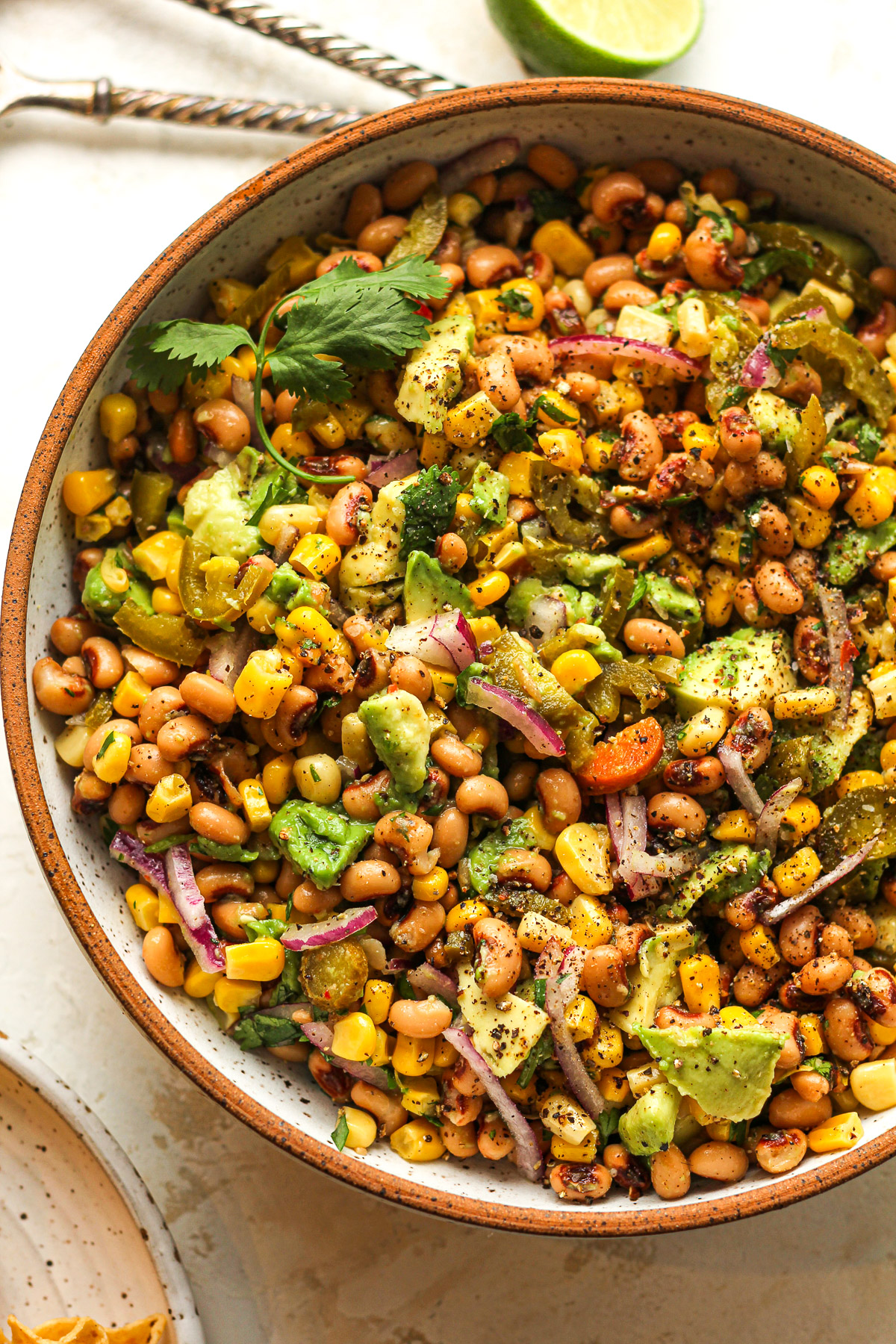 A bowl of black eyed pea dip with avocado.