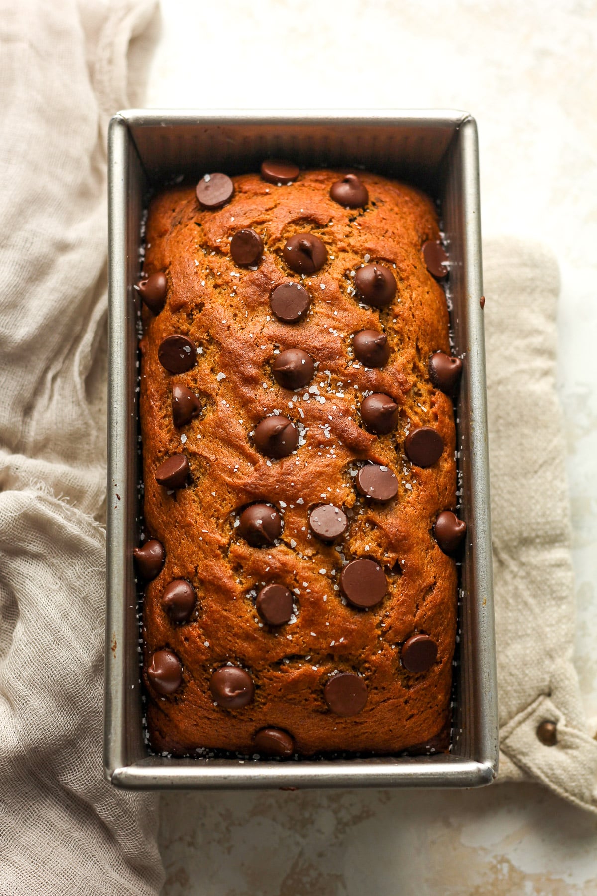 A loaf pan of chocolate pumpkin bread with chocolate chips on top.