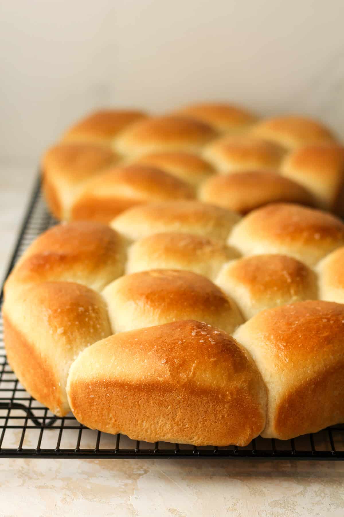 Side view of a wire rack with two rounds of dinner rolls.