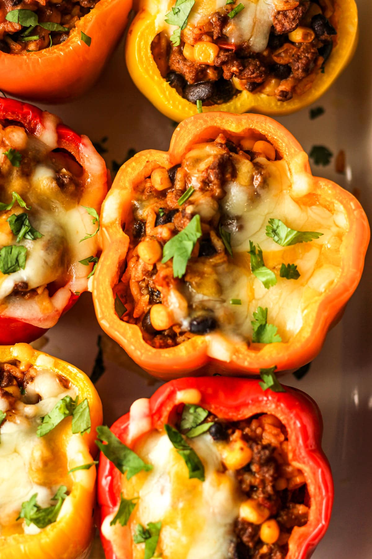 Overhead view of enchilada stuffed bell peppers with cilantro.