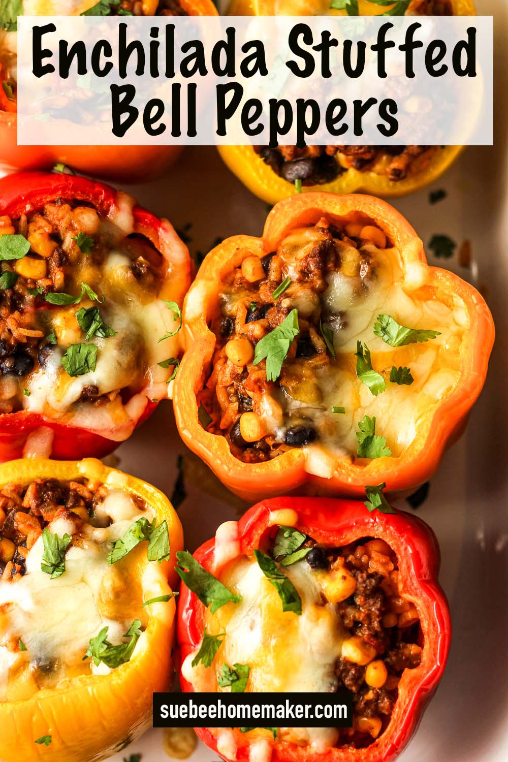 Overhead view of six Enchilada Stuffed Bell Peppers.