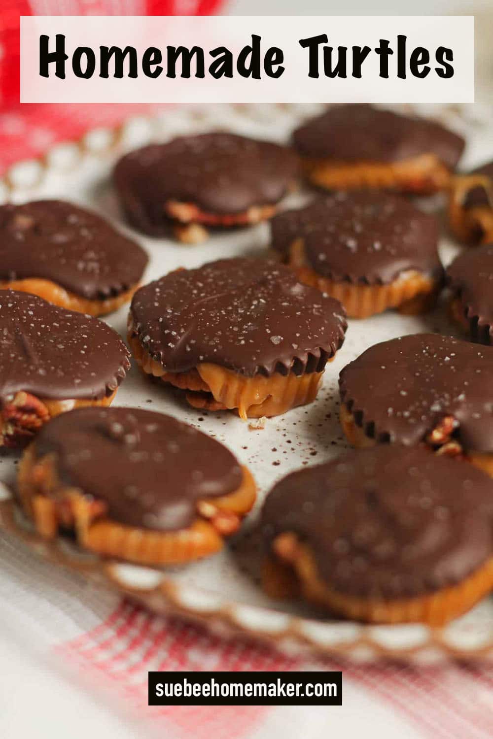 Side view of homemade turtles on a plate.