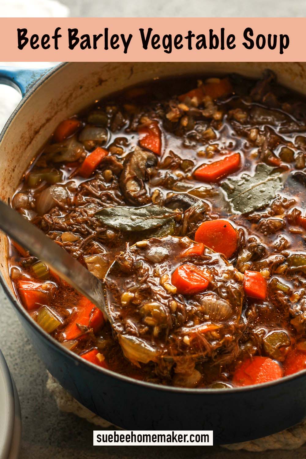 A pot of beef barley vegetable soup.