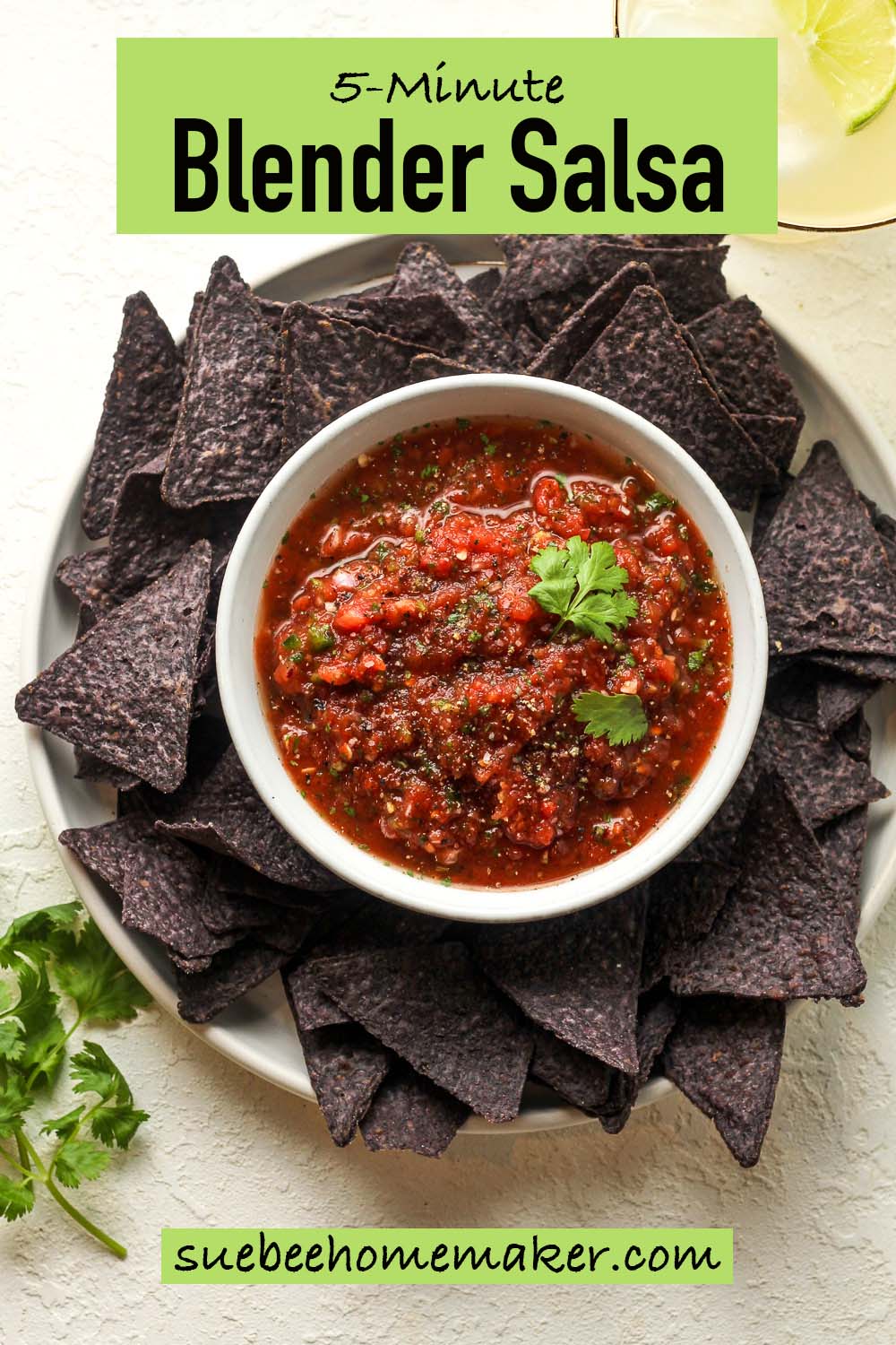 Overhead view of a plate of chips with a bowl of 5-minute blender salsa.