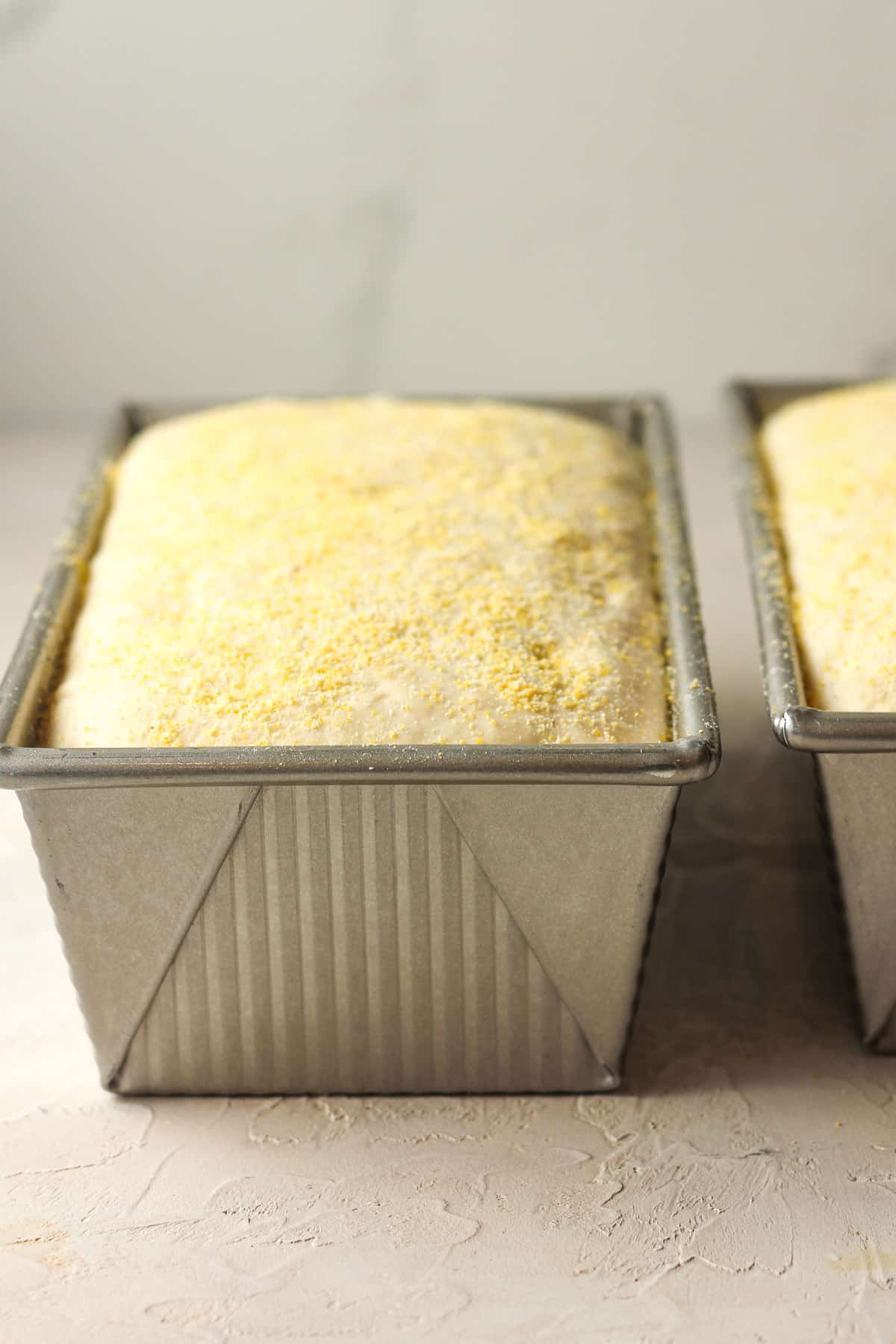 Side view of two loaf pans of English muffin bread dough before baking.