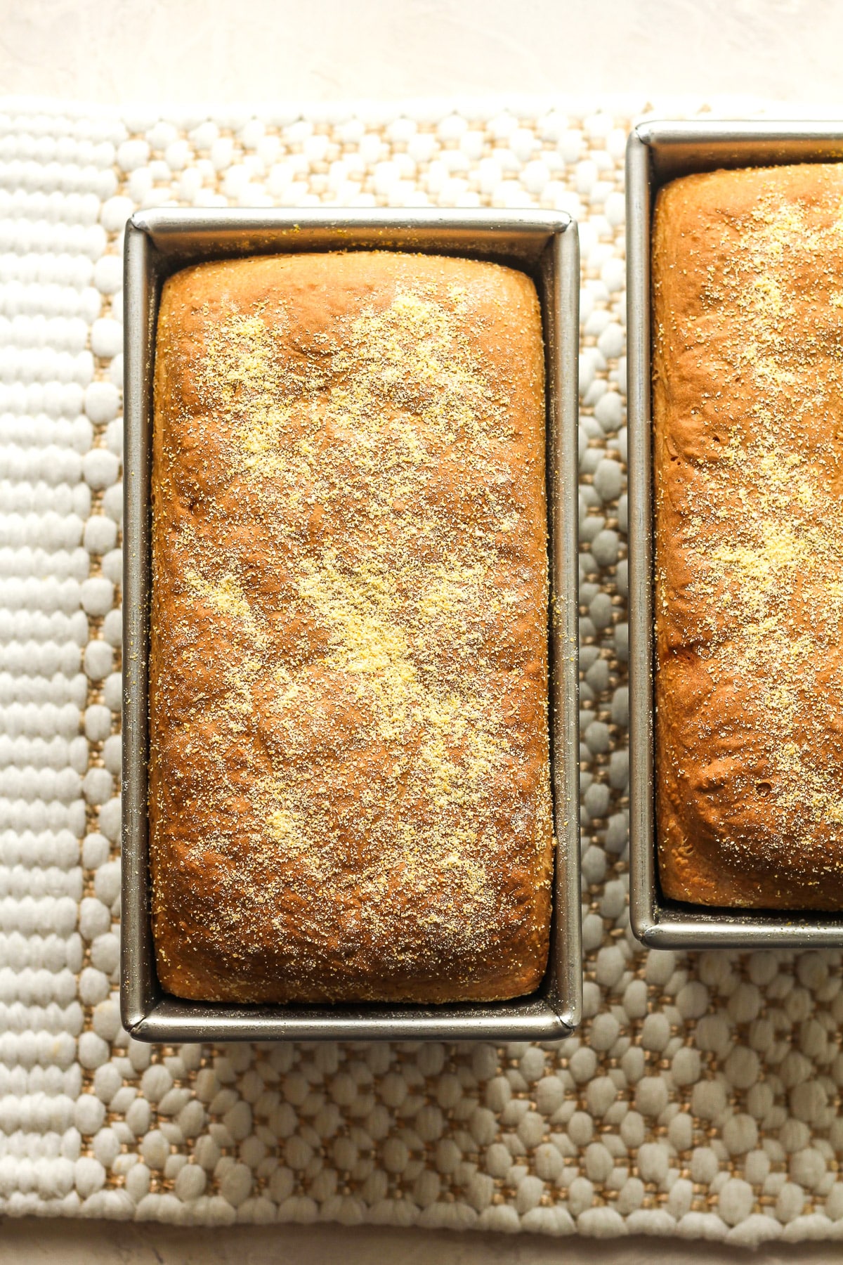 Two loaves of bread in the pans with cornmeal on top.