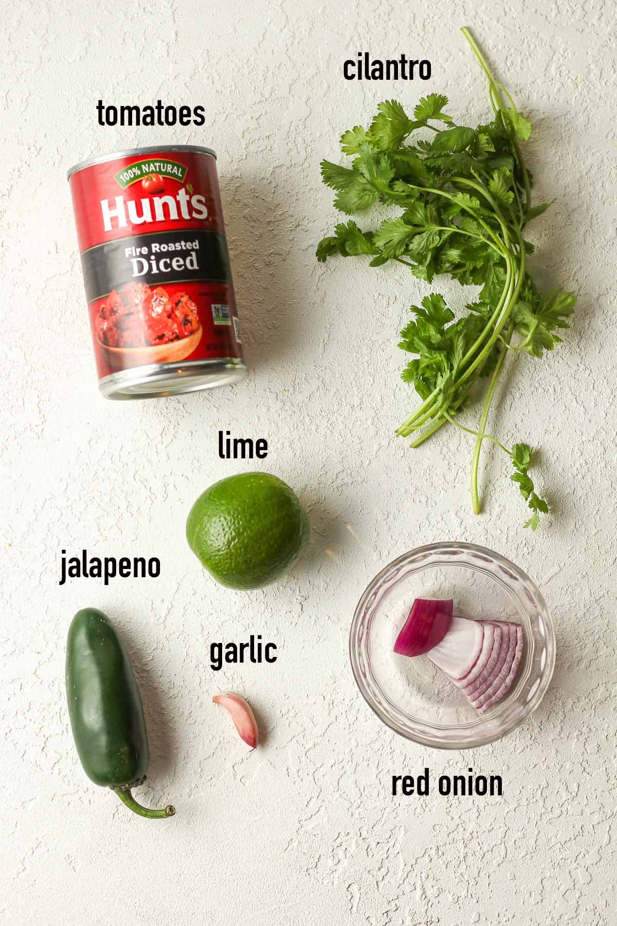 Labeled ingredients for blender salsa.