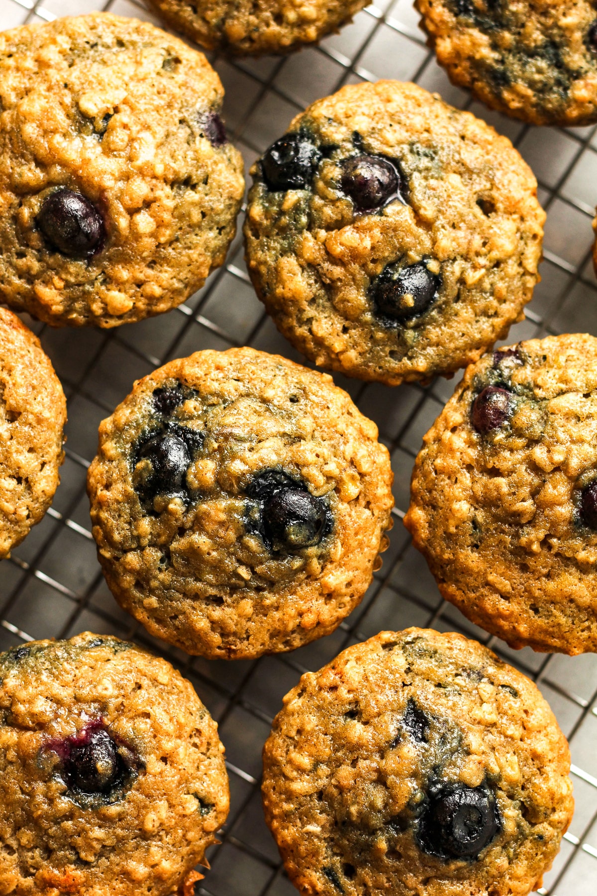 Closeup on some blueberry oatmeal muffins.