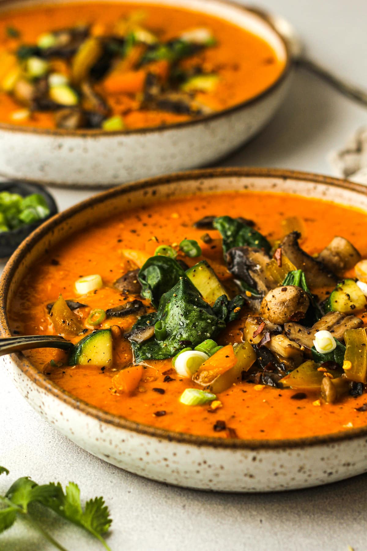 Side view of two bowls of curry soup with veggies.