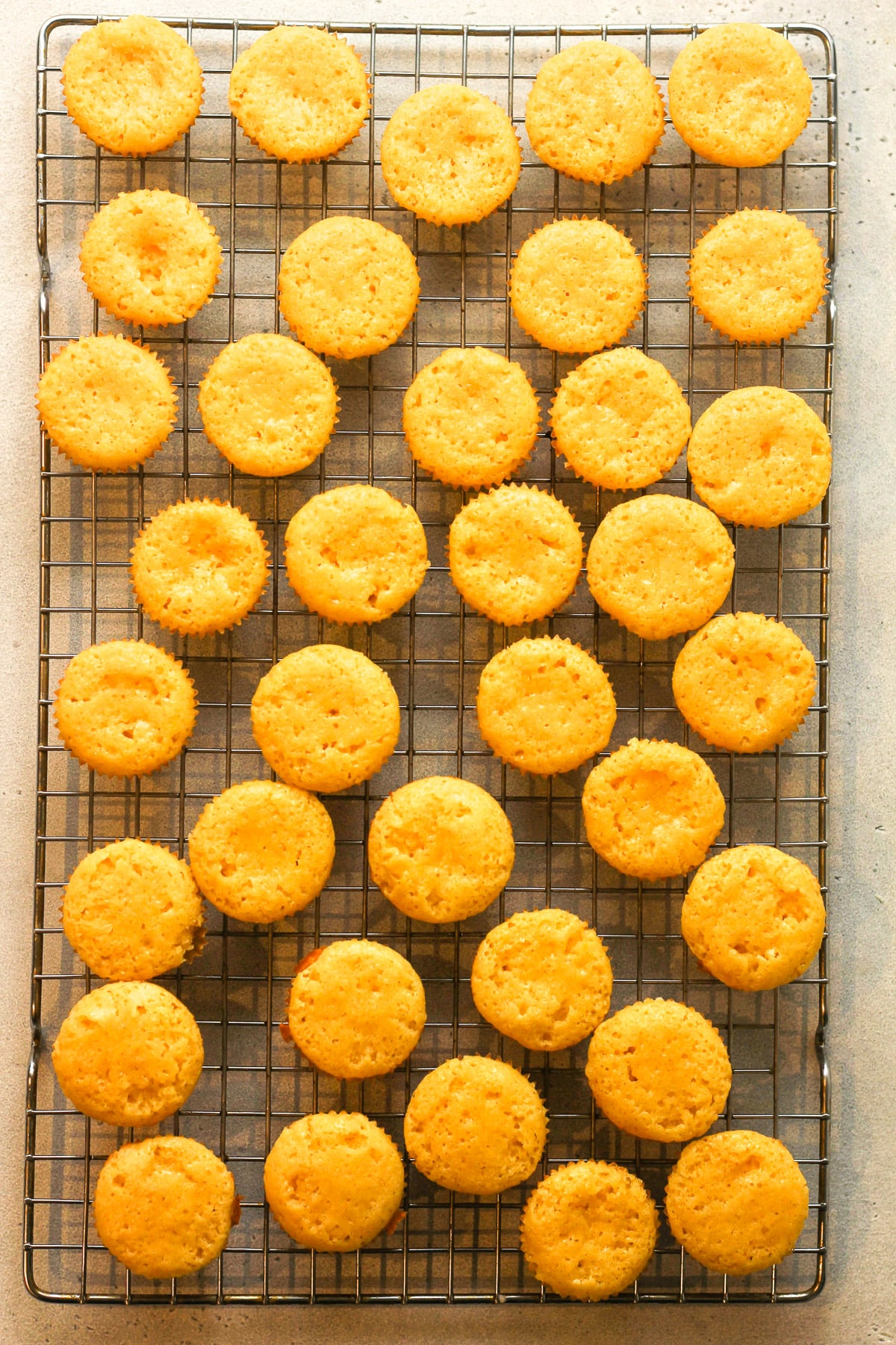 36 mini lemon cupcakes on a wire rack before frosting.