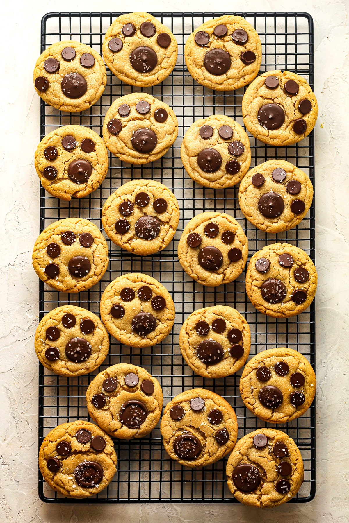 Overhead view of a black wire rack of paw print cookies.