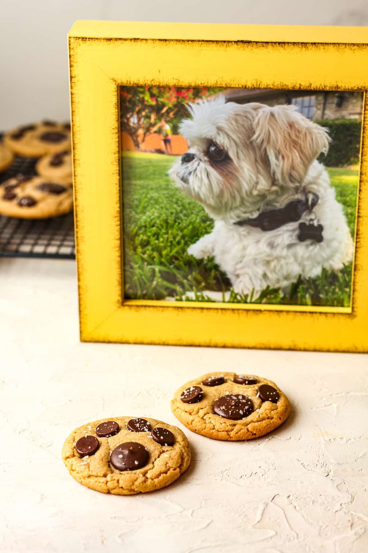 Side view of two paw print cookies with a framed photo of Theo on our grass in front of our home.