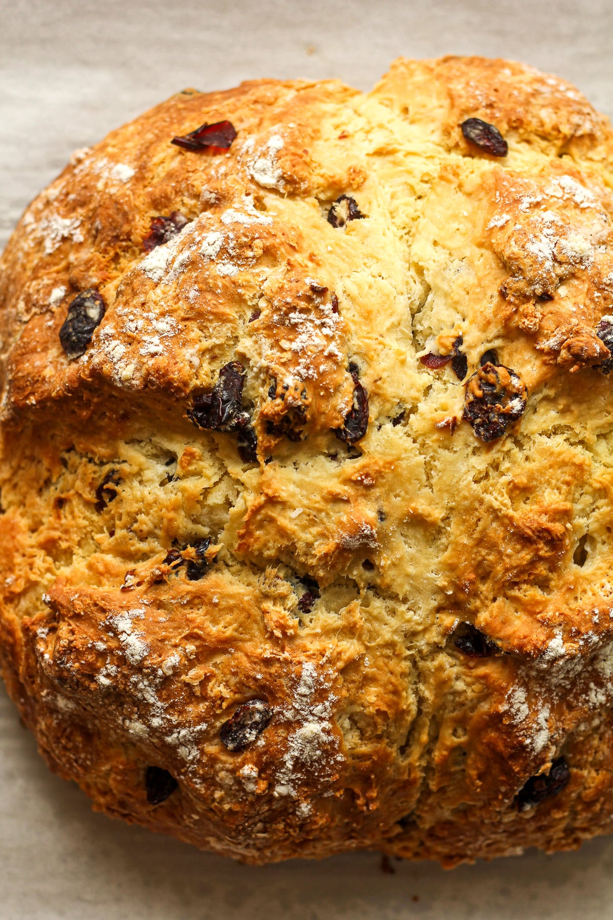 Closeup on a loaf of Irish soda bread with cranberries.