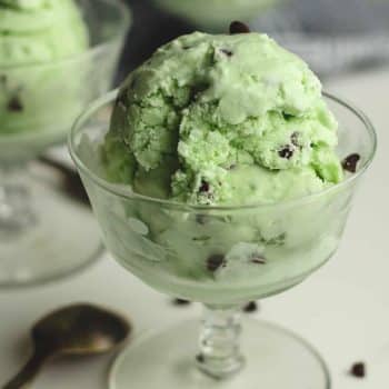 Side view of a serving of mint chip ice cream.